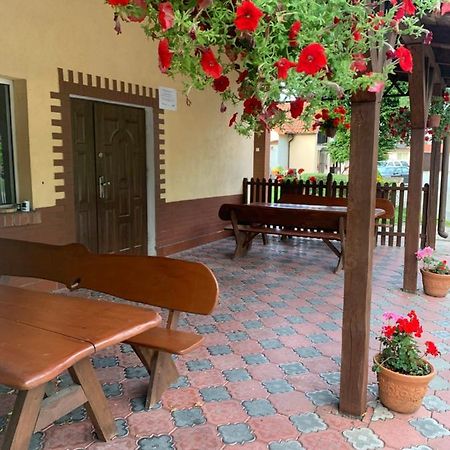 Noclegi Ciesiul Orneta Dış mekan fotoğraf